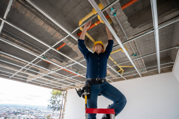 Best Plumbing Inspection Services  in East Lansing, MI