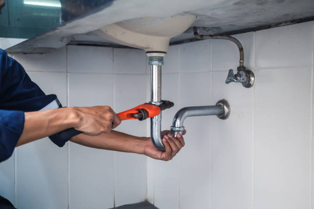 Best Commercial Plumbing Services  in East Lansing, MI